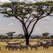 10 Unforgettable Things to Do in Tanzania