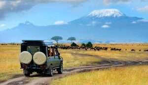 Amboseli Luxury Safari
