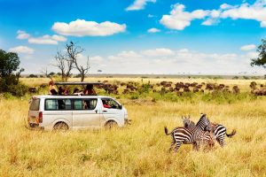 Masai Mara Budget Safari