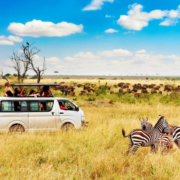 Masai Mara Budget Safari