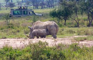 Nakuru Rhino Safari