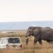 🐾 What to Wear on an East African Safari: The Ultimate Packing Guide