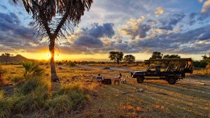 Zanzibar Holiday Safari