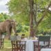🦓 Going on Your First Safari? Here’s What to Wear