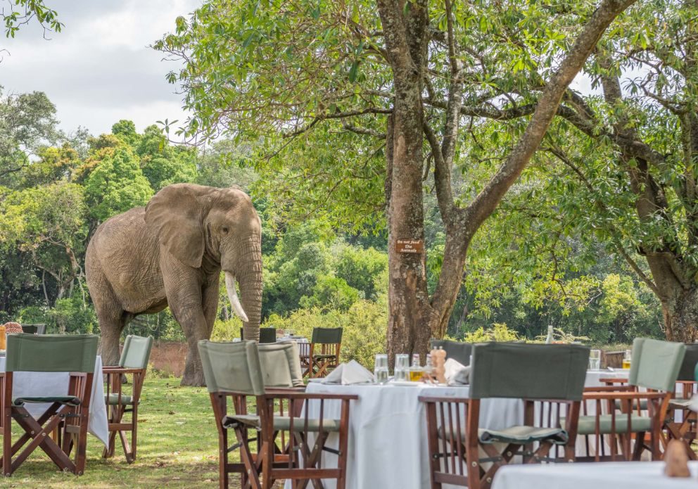Luxury Flying Safari