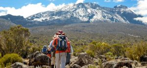 Mt Kilimanjaro Climbing: Lemosho Route