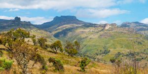 Mount Elgon Tour