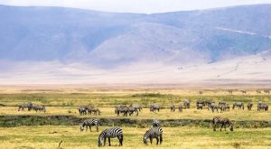 Ngorongoro Camping Safari
