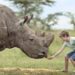 What’s The Difference Between a Private Safari And a Group Safari?