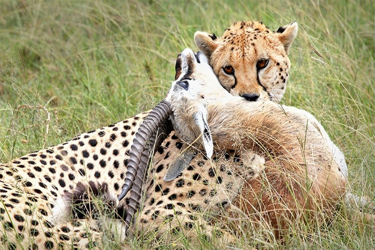 Tsavo-East-National-park-kenya