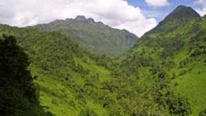 Ruwenzories Mountains Tour