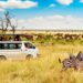 How Close To Nature Can You Get On A Wilderness Journey Through Kenya?