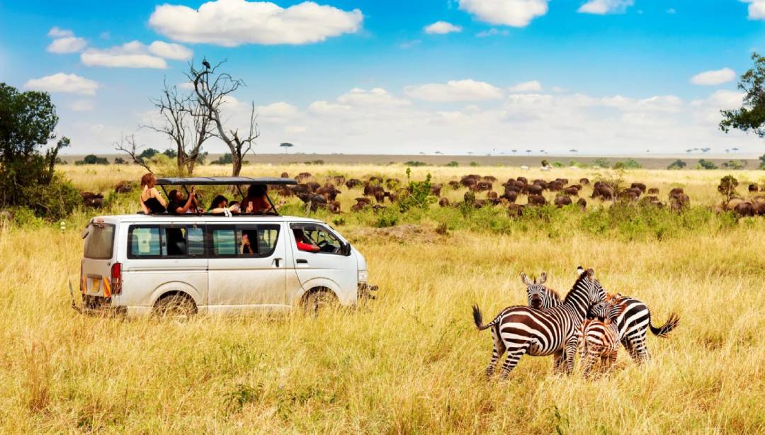 Kenya Camping Safaris