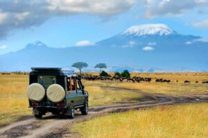 Tanzania Safari Packages